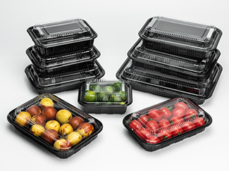 Food Takeout Packaging